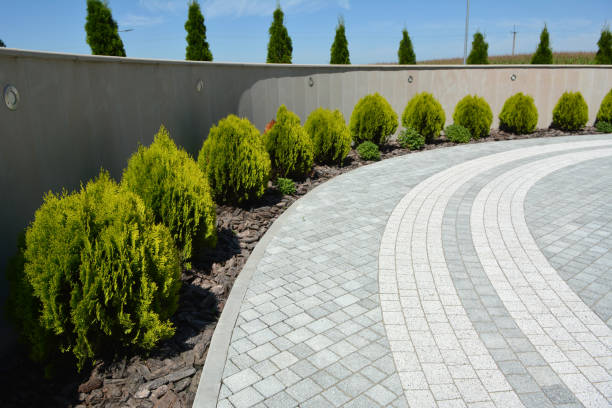 Reasons to Select Us for Your Driveway Paving Requirements in Maywood, CA
